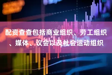 配资查查包括商业组织、劳工组织、媒体、议会以及社会运动组织