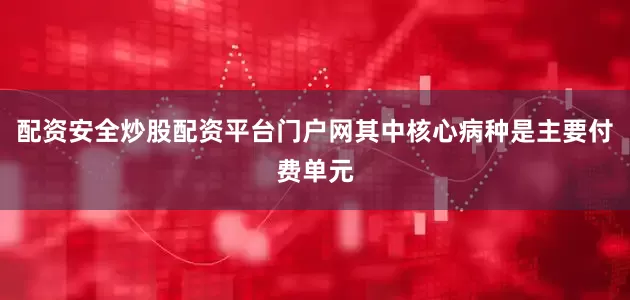 配资安全炒股配资平台门户网其中核心病种是主要付费单元